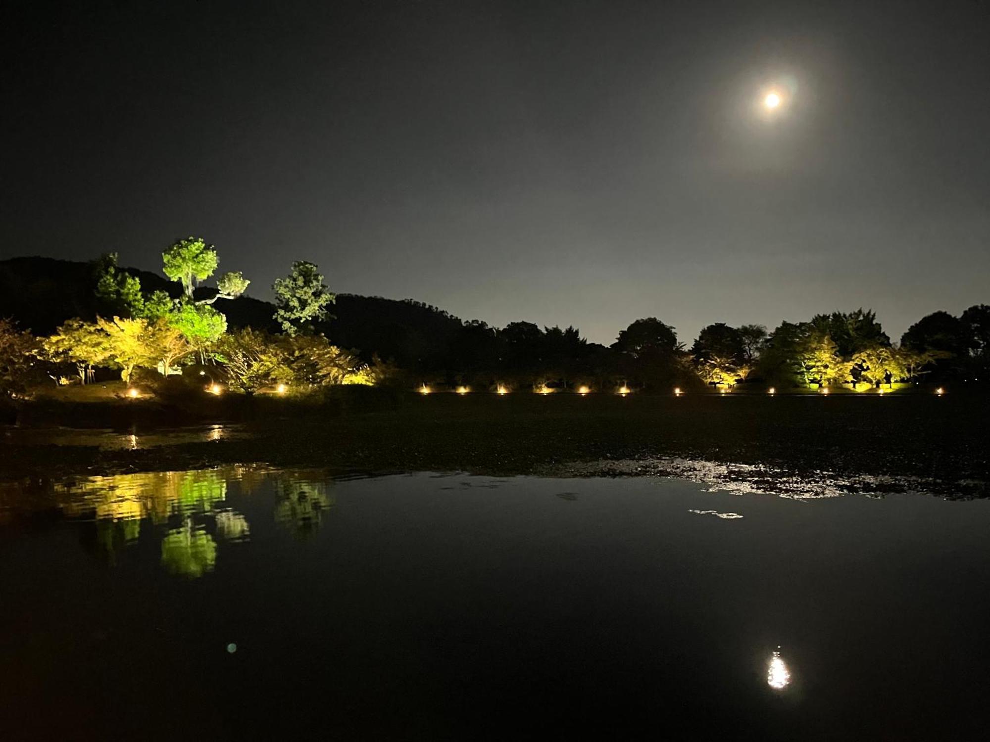 嵐山 天龍の宿 駐車無料 一棟貸切 最大5人 Dragon Legend Arashiyama Central Private Rare Modern Villa Free Parking Max 5Ppl Shimo-saga Eksteriør bilde