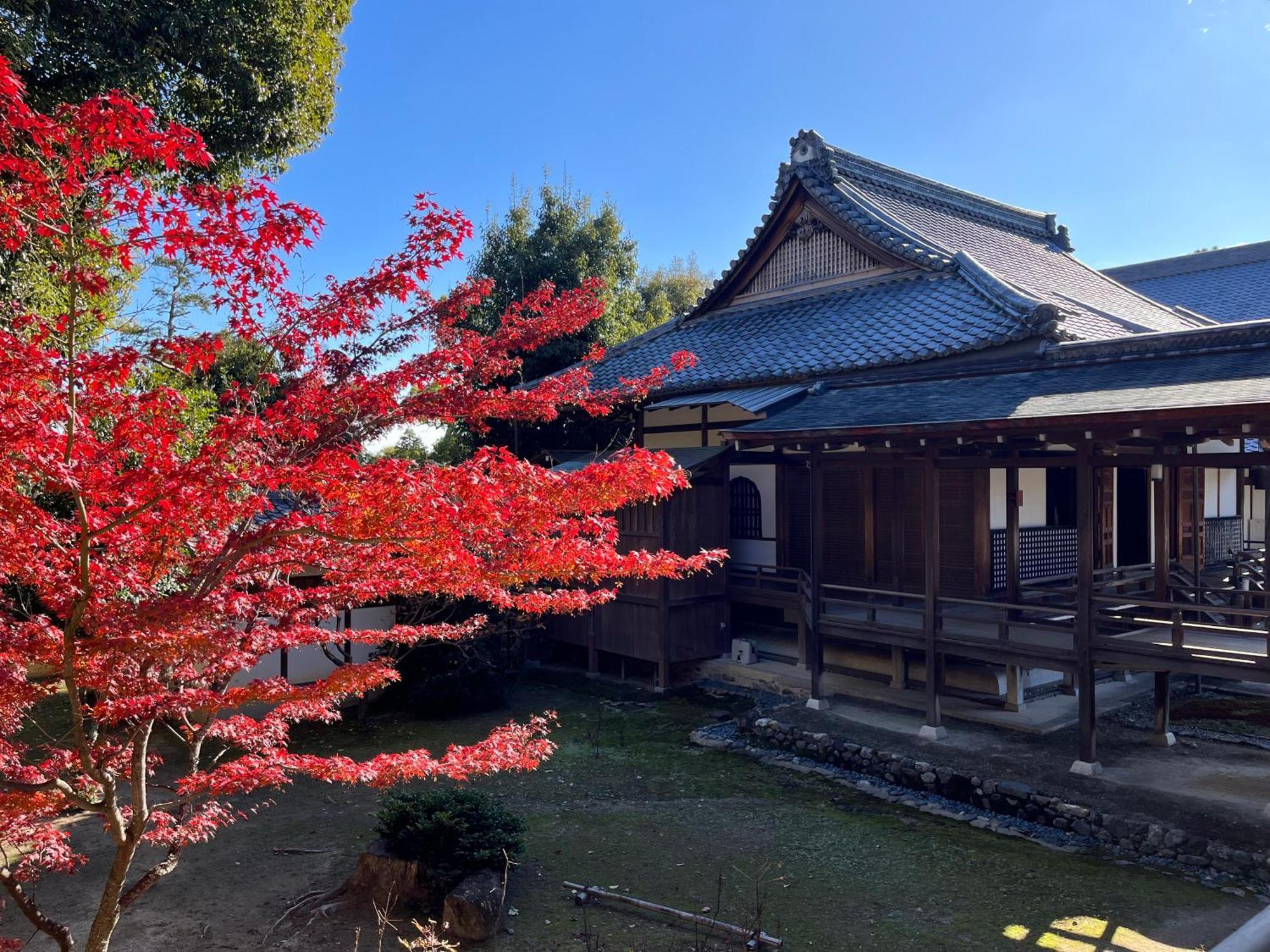 嵐山 天龍の宿 駐車無料 一棟貸切 最大5人 Dragon Legend Arashiyama Central Private Rare Modern Villa Free Parking Max 5Ppl Shimo-saga Eksteriør bilde